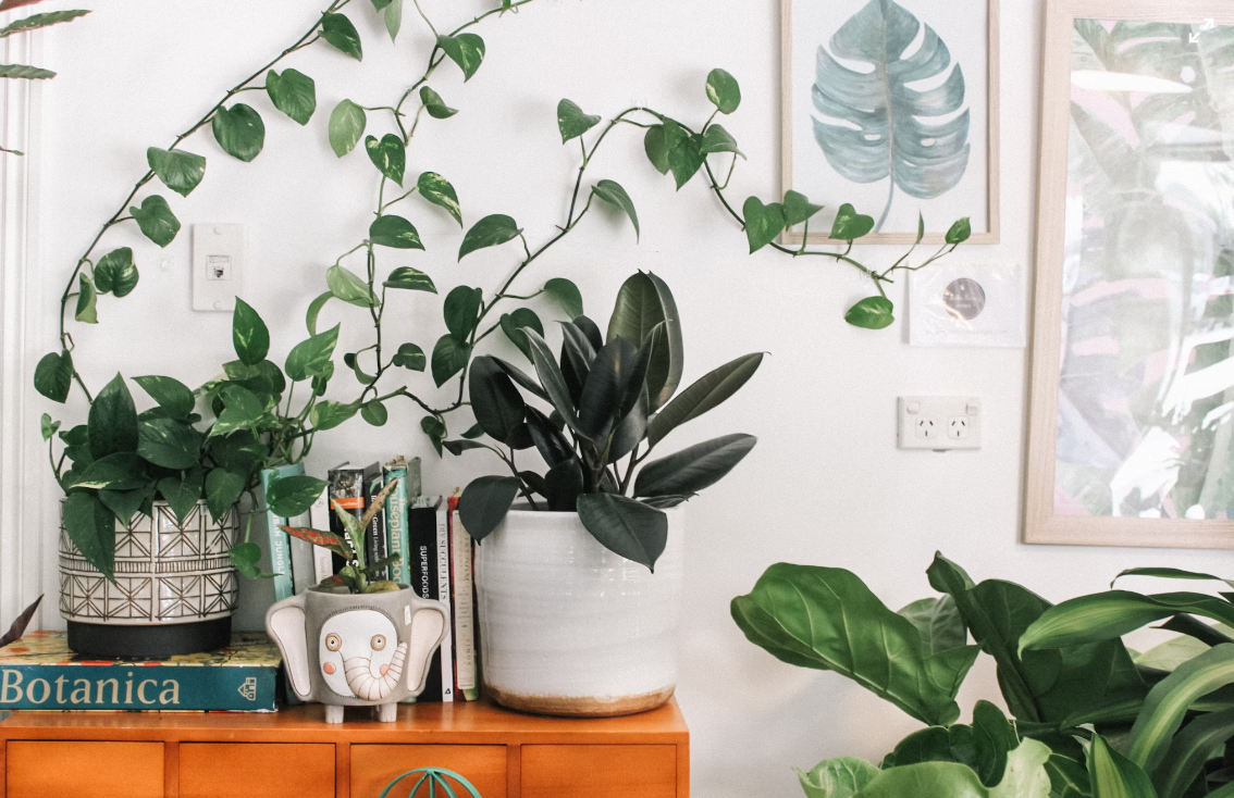 A Step-by-Step Guide to Buying Eco-Friendly Home Products