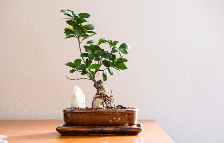 Seasonal Room Makeovers: Refreshing Your Space for Each Season