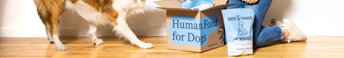 The Ultimate Guide to Modern Living with Pets: Design, Care, and Wellness
